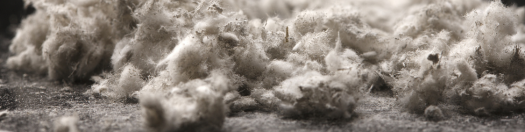 Martime Asbestos