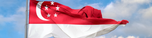 Singapore Law